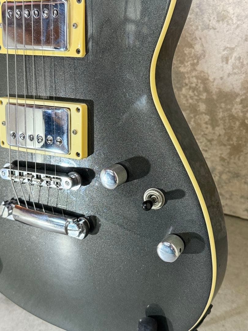 【希少】FERNANDES APG series 整備・清掃・弦交換済み