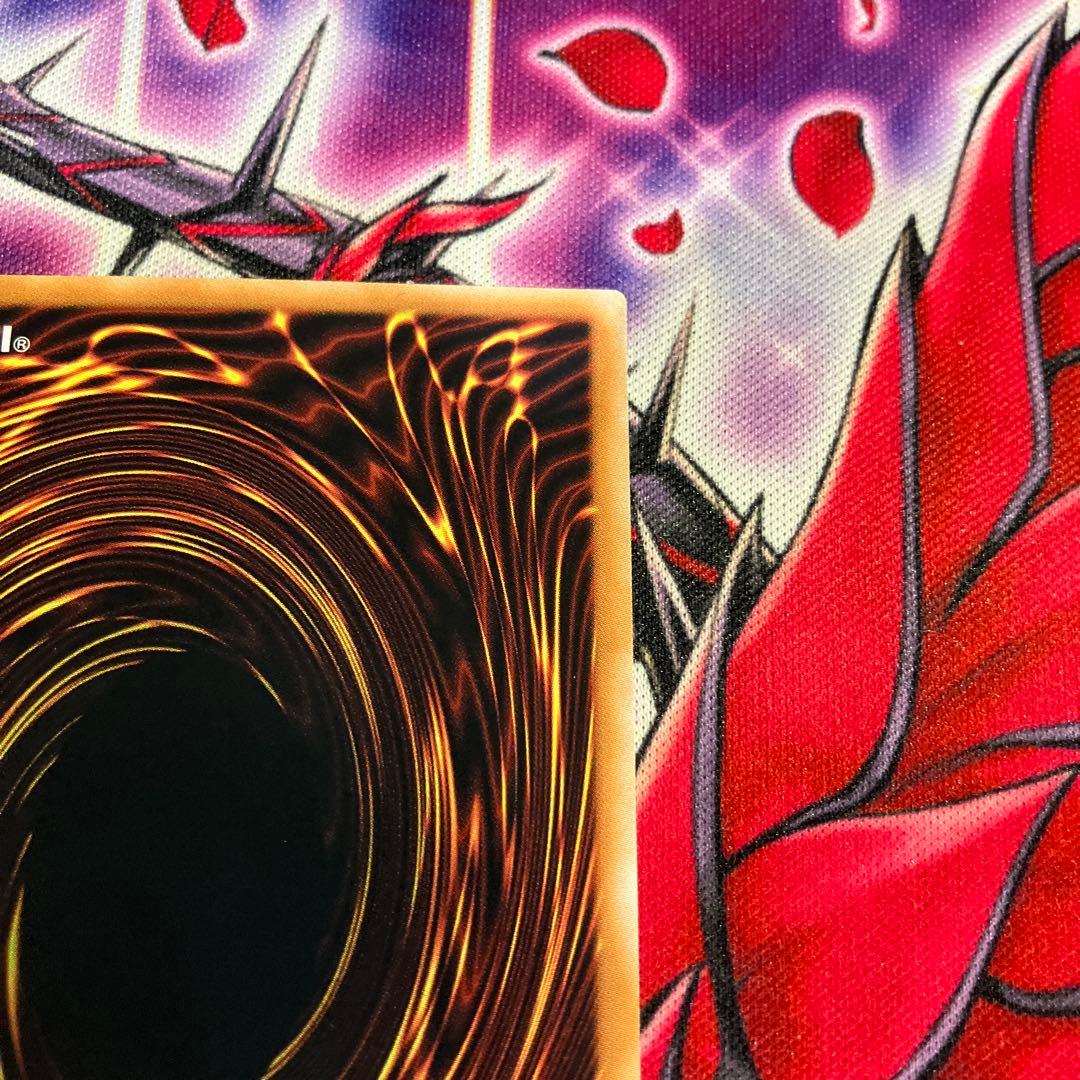 遊戯王　EU版　計都星辰　アルティメットレア