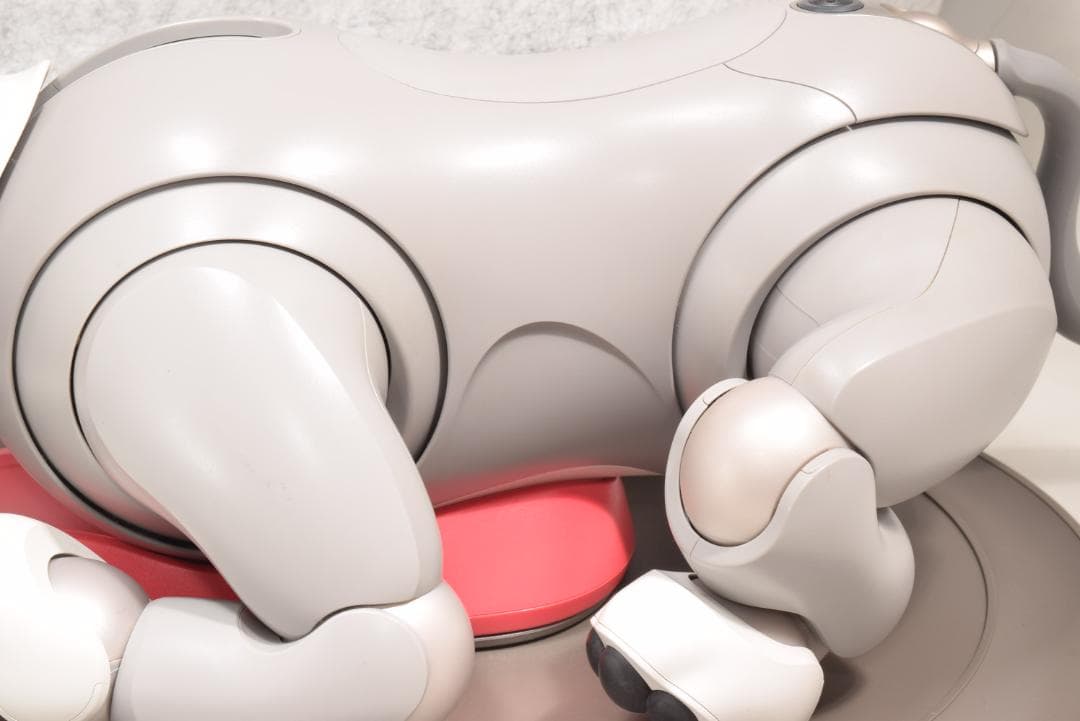 希少 ソニー SONY アイボ ERS-1000 黒ごまエディション 限定モデル