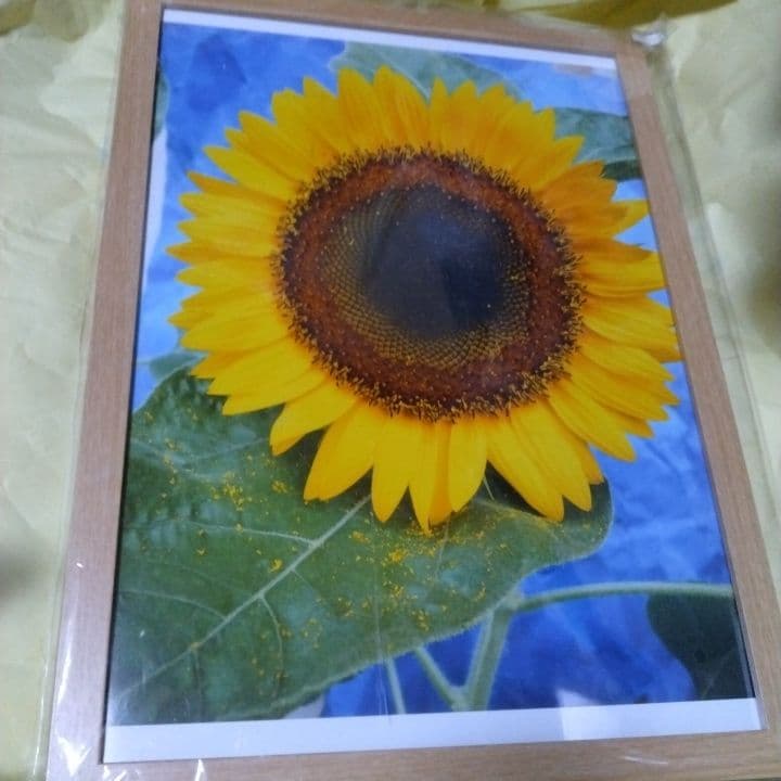 ひまわり アート作品 A4サイズ
