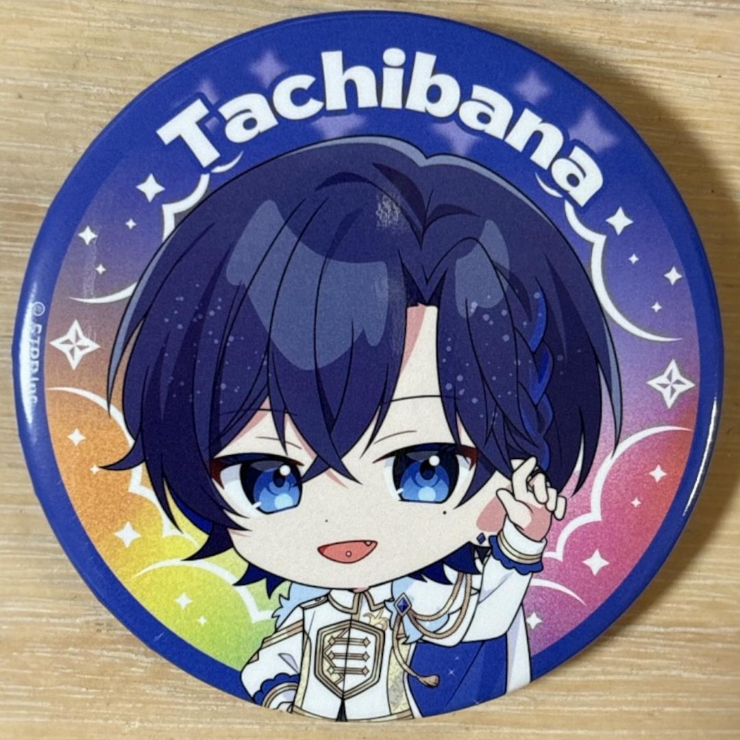 たちばな すとふぇす 2026 SD すにすて 缶バッジ 32点