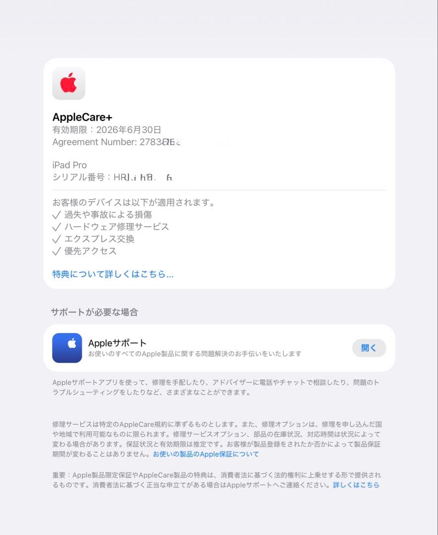当日発送 Apple Care+付き iPad Pro M4 13インチ 1TB