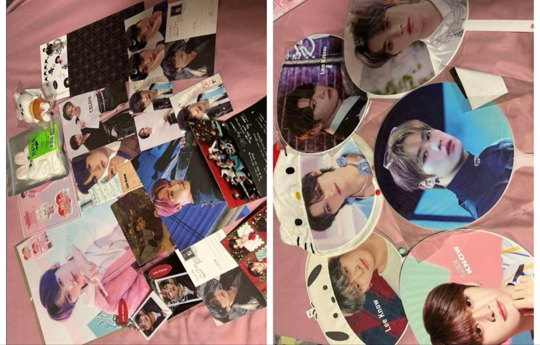 straykids リノ うちわ