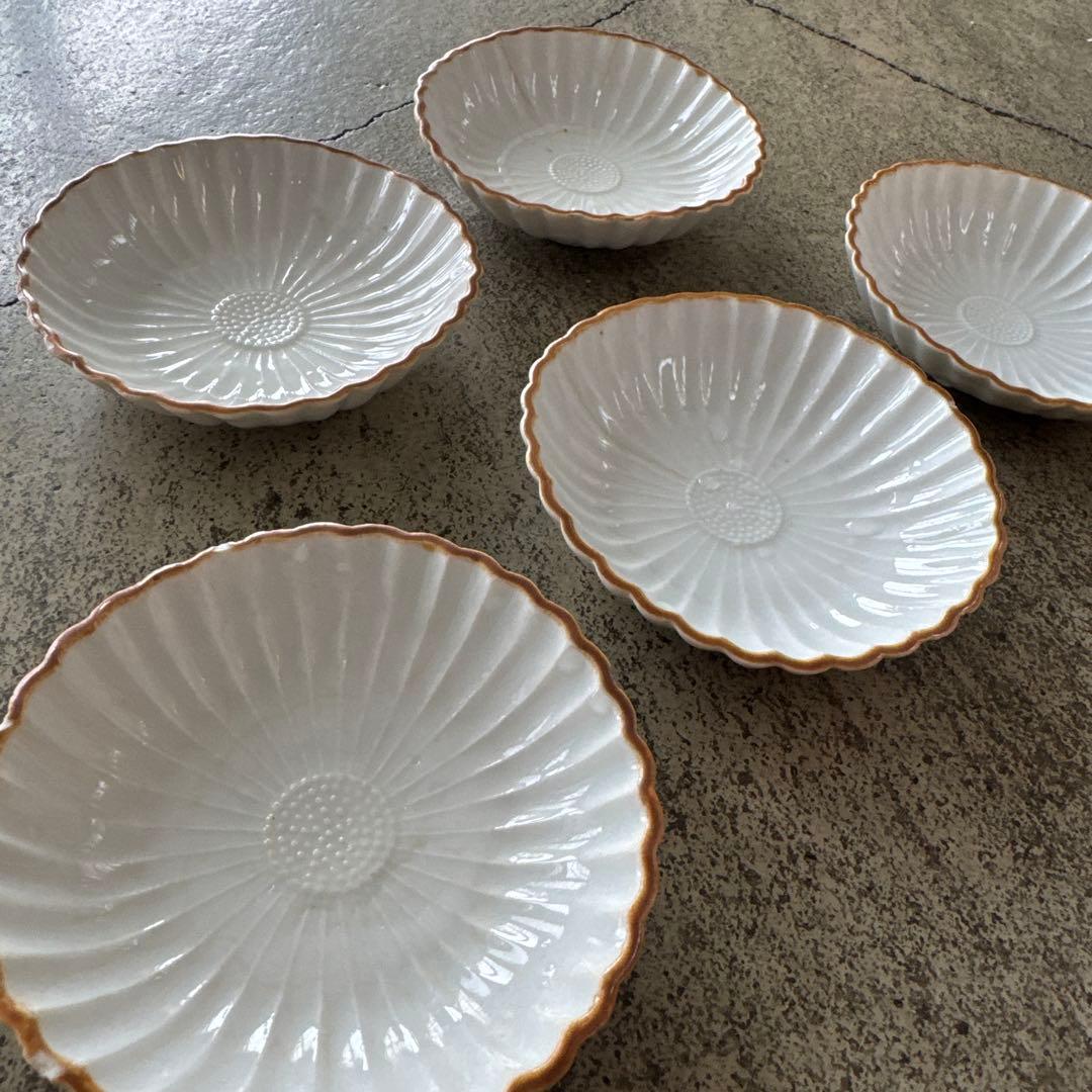 古伊万里　白磁　江戸後期　菊　豆皿