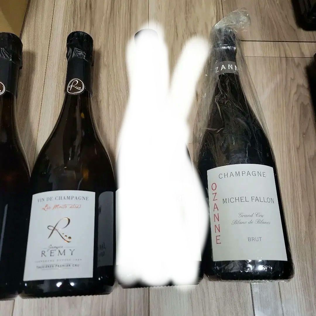 シャンパーニュ5本セット