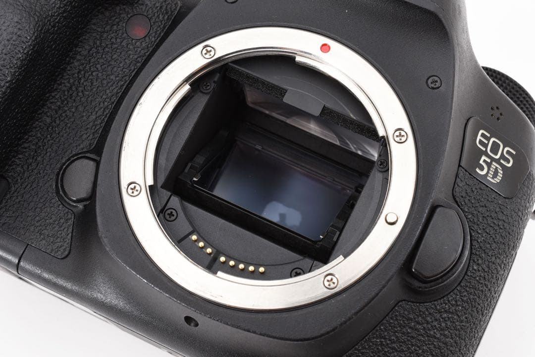 フルサイズ対応/Canon EOS 5D MarkIII標準&望遠レンズセット