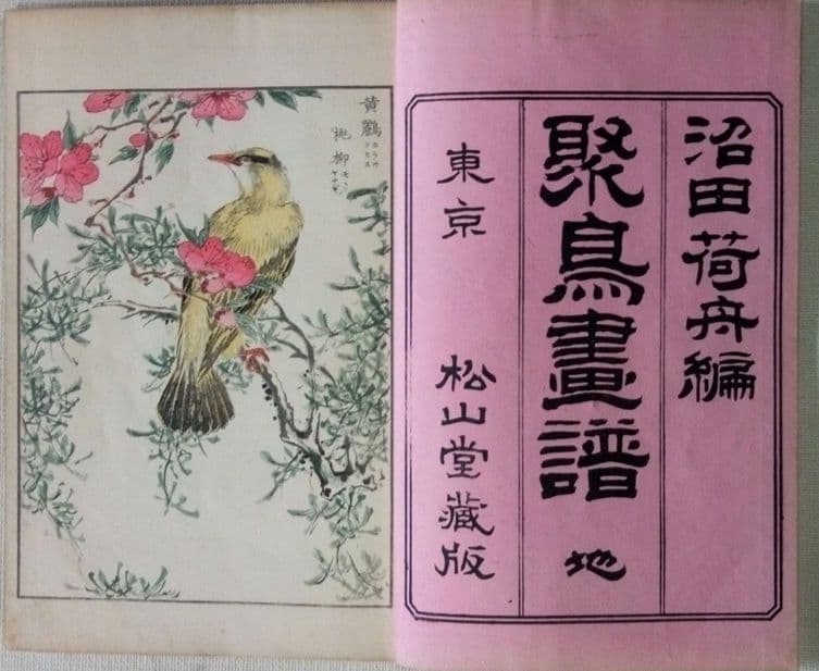 木版画本聚鳥畫譜大正5年再版三冊揃い天、地、人沼田荷舟画初版は明治18年～22年