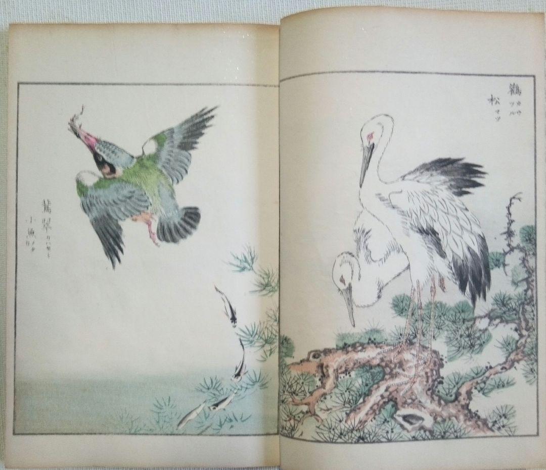 木版画本聚鳥畫譜大正5年再版三冊揃い天、地、人沼田荷舟画初版は明治18年～22年