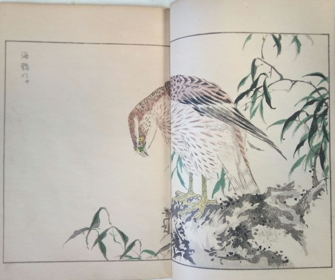 木版画本聚鳥畫譜大正5年再版三冊揃い天、地、人沼田荷舟画初版は明治18年～22年