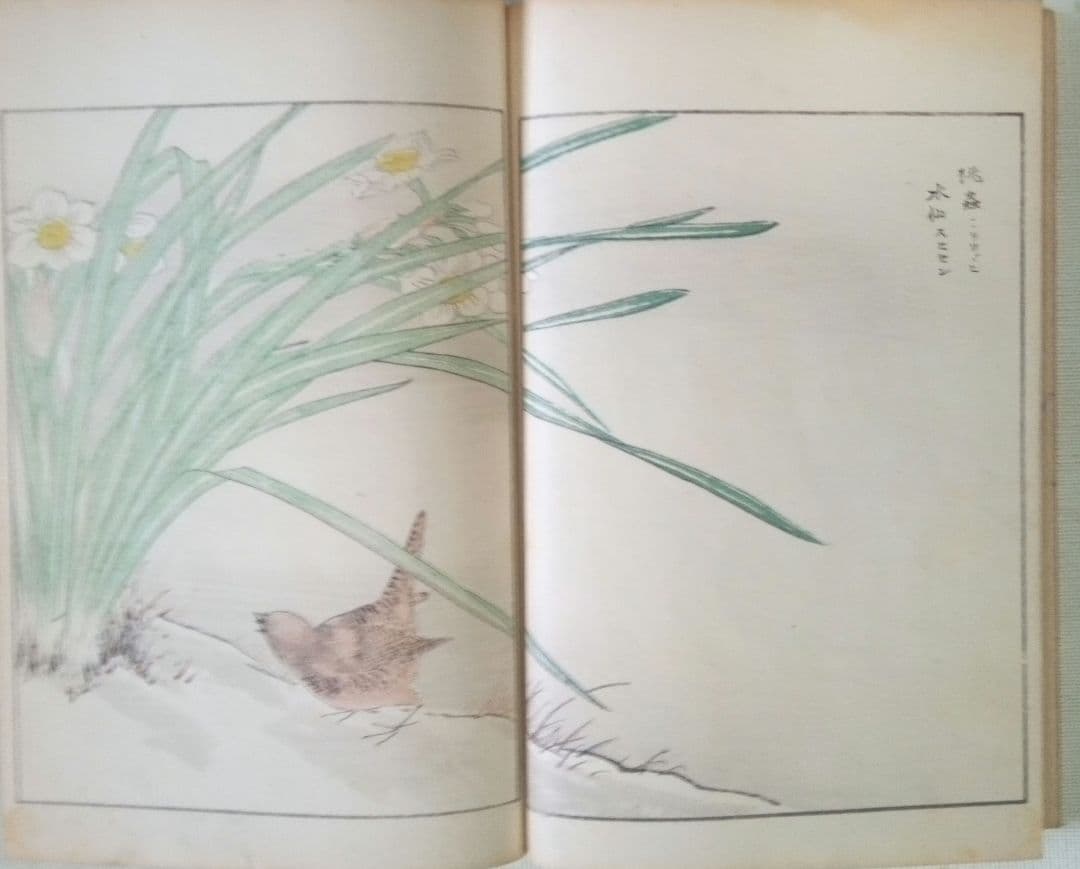 木版画本聚鳥畫譜大正5年再版三冊揃い天、地、人沼田荷舟画初版は明治18年～22年