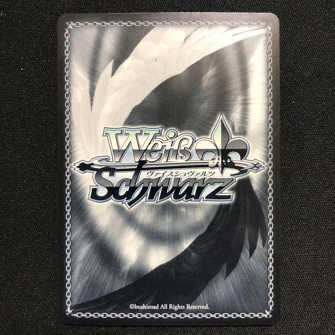 ヴァイスシュヴァルツ レーゲンスブルク SP