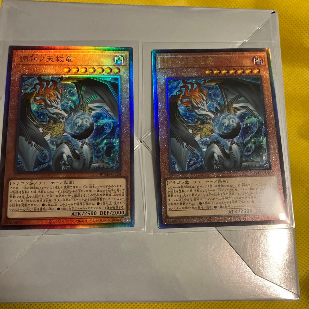 調和ノ天救竜　レリーフ2枚セット