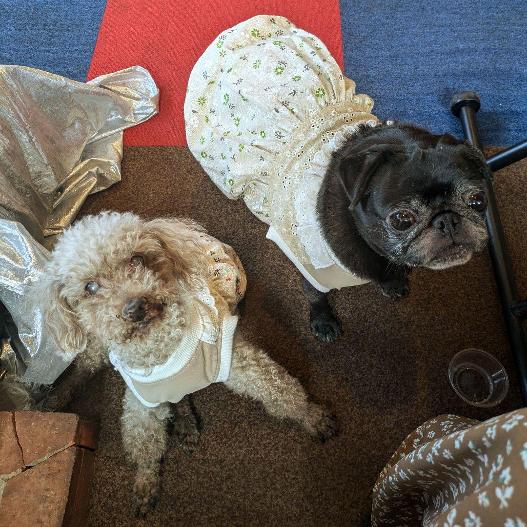 **お洋服着用写真**