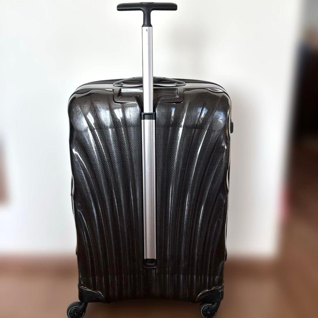 ブラックストライプキャリーケース