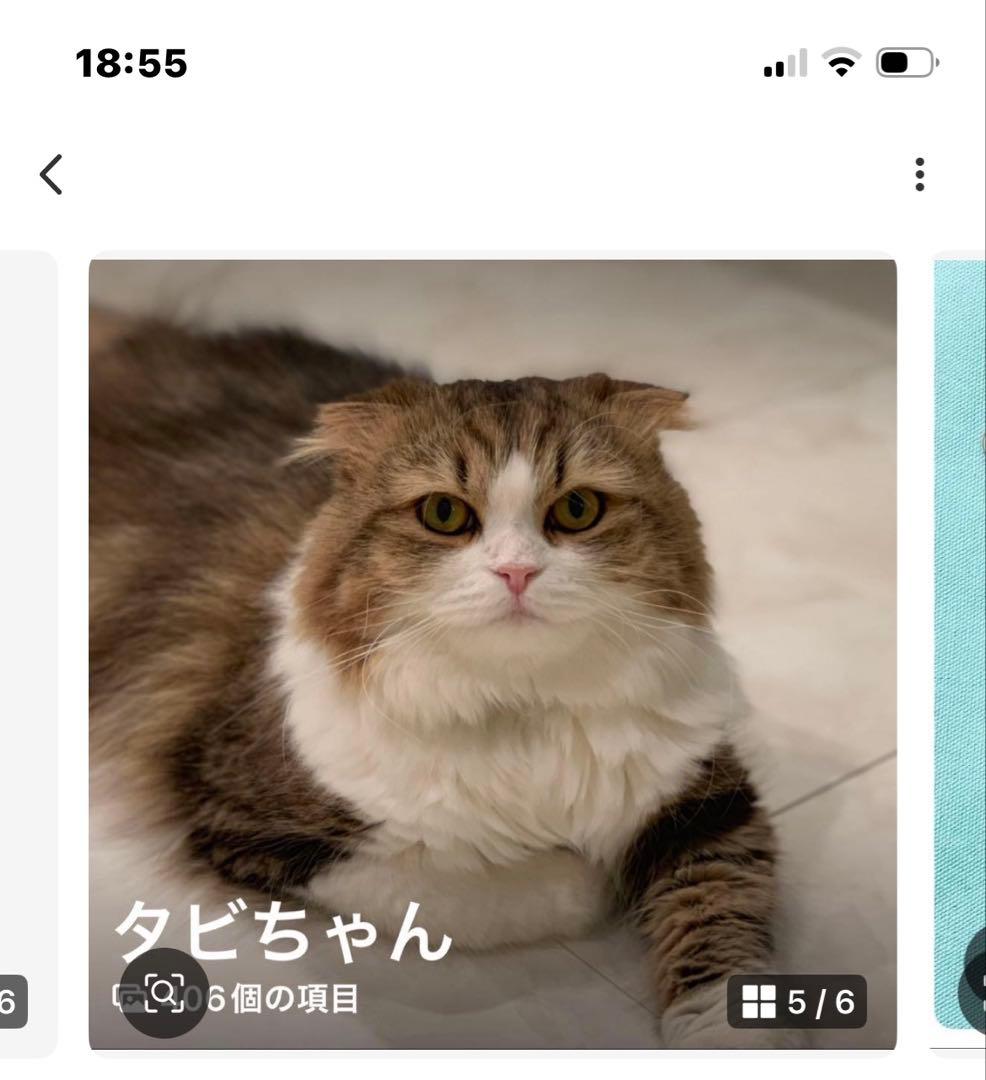 ゆみみゆりんゴルフボールケース