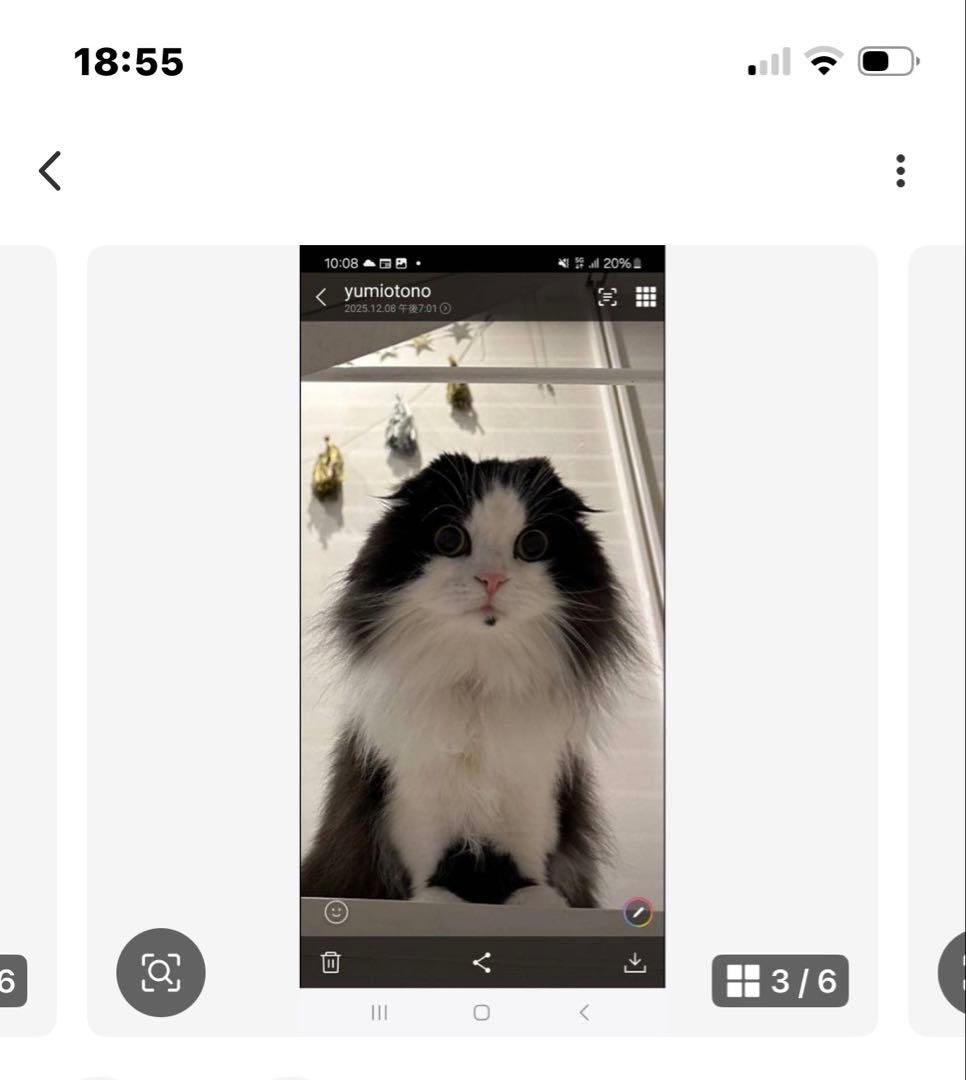 ゆみみゆりんゴルフボールケース