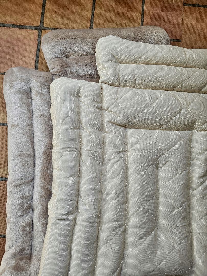 コロページ #2345