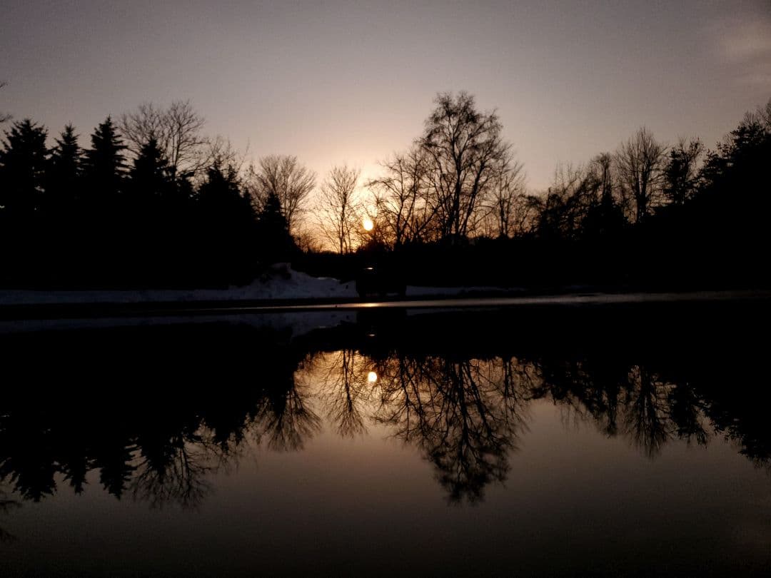 鹿　の　とうこ　つ