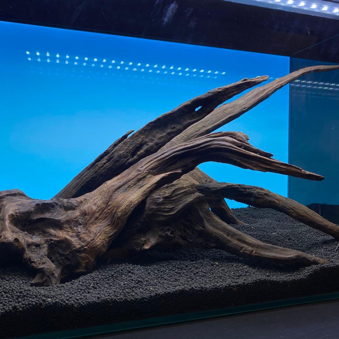 MRW-6731 赤系天然流木レイアウトセット　60cm水槽用流木　アクアリウム