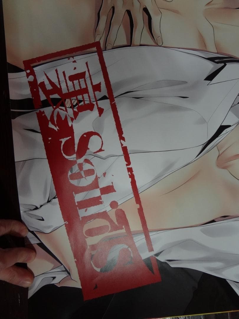 裏soldis       非売品ポスター