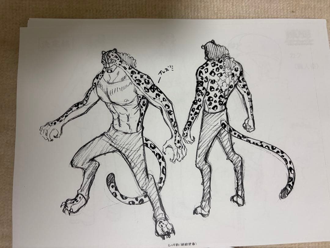 ワンピース ONE PIECEシリーズ設定資料2013年TVスペシャル約200枚