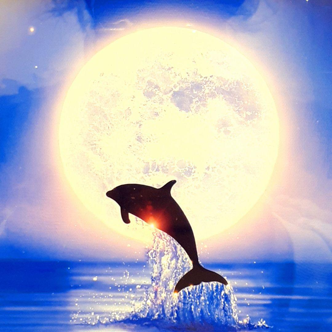 希少　ナンバー記載　93/300　クリスチャン・ラッセン作品　ミスティックライト