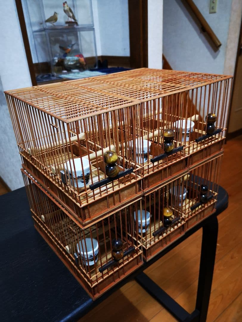 《季節限定出品》メジロ籠&寝かせ籠【最高級/優良籠】※真鍮製餌受　※限定購入特典