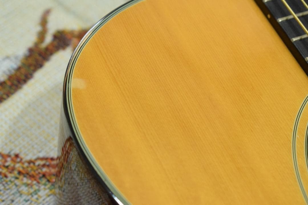 Morris F-01 II NAT 状態良好 ソフトケース付き