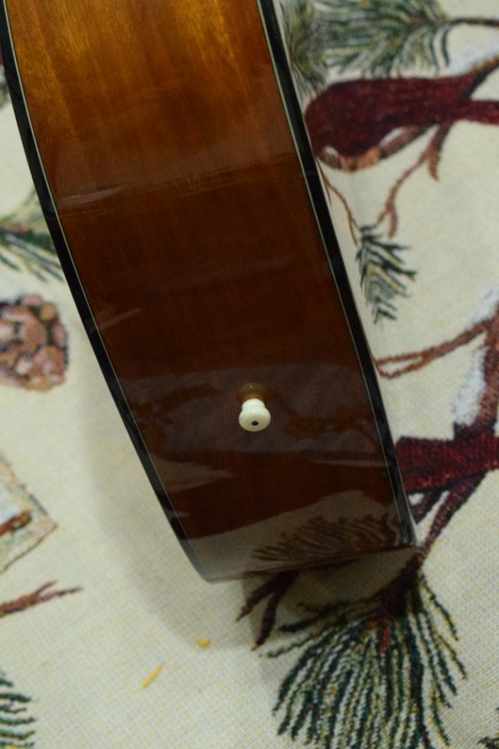 Morris F-01 II NAT 状態良好 ソフトケース付き