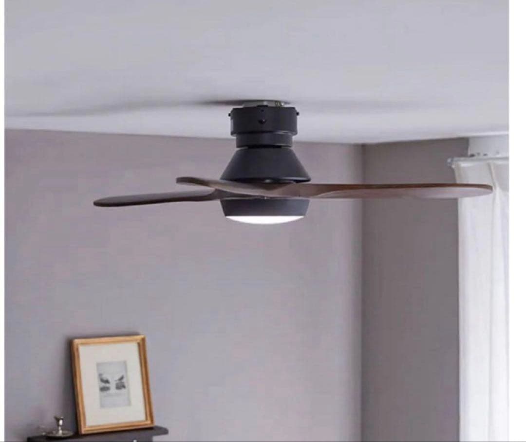 新品!LOWYA シーリングファンライトニュージャバリア2 ブラック/ブラウン