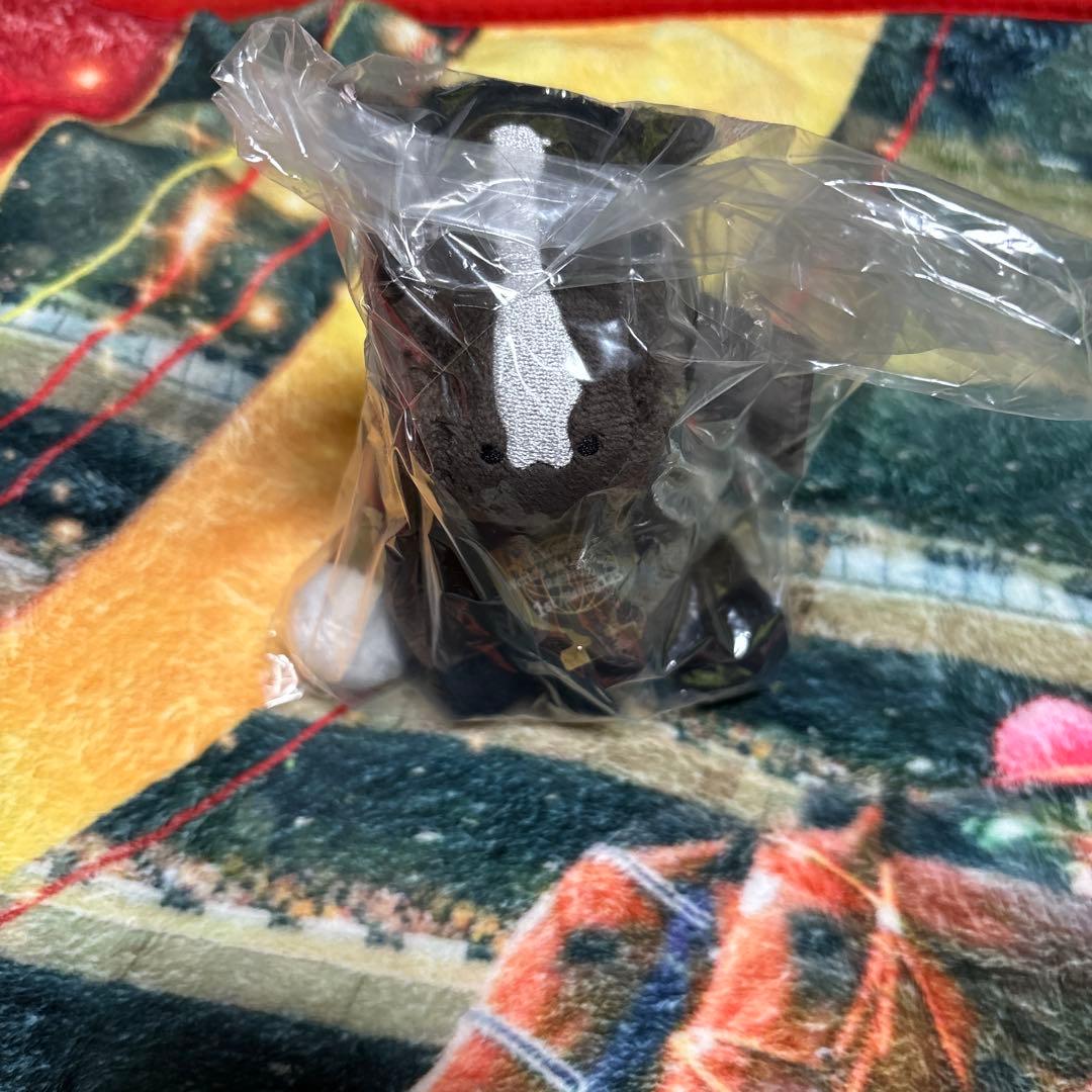 イクイノックス　ジャパンカップ　アイドルホース　Sサイズ