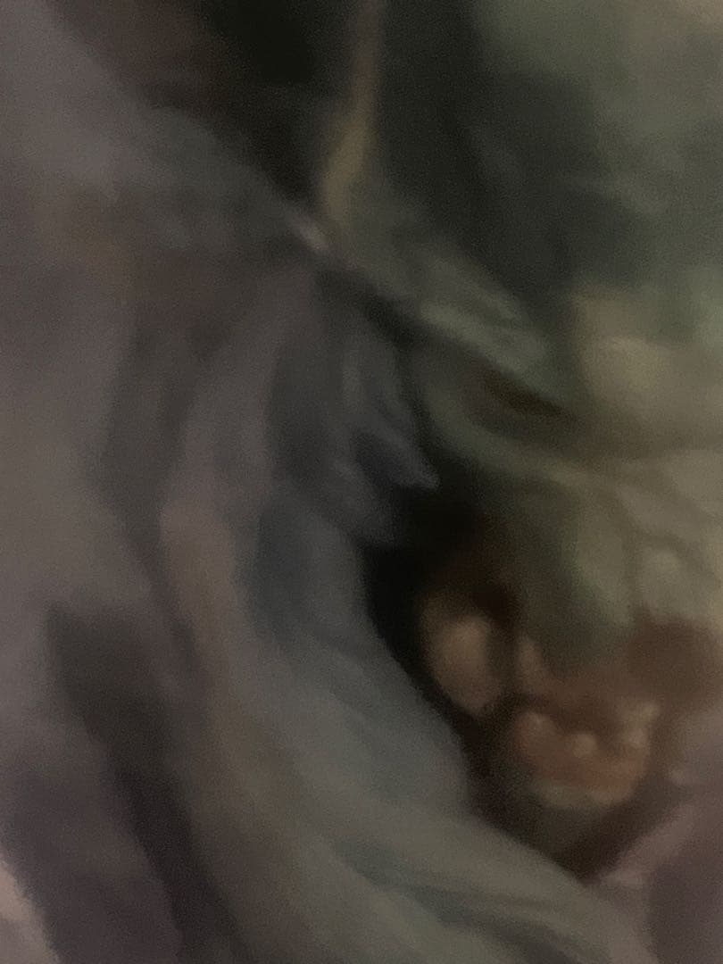 フ*郎様 クリエイターズモデル ナナ・テスカトリ フィギュア 新品未開封品