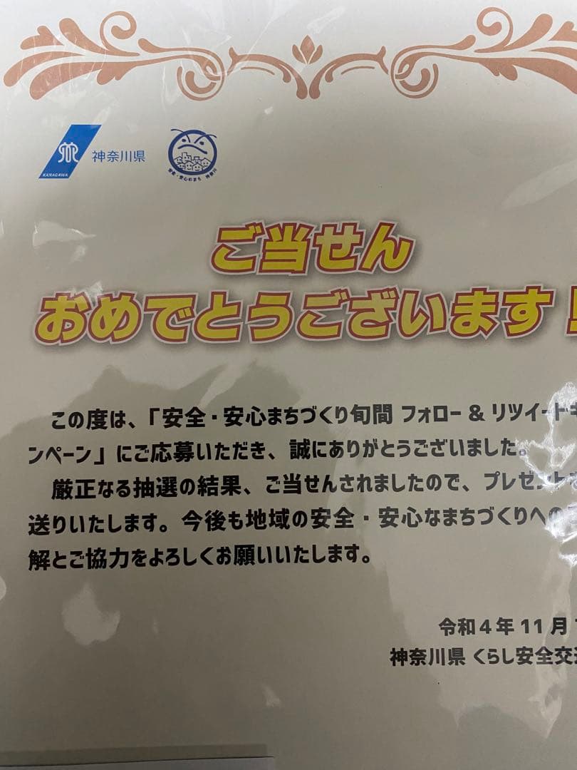 アイドリング!!! 横山ルリカ 直筆サイン入り チェキ 色紙 一日警察署長