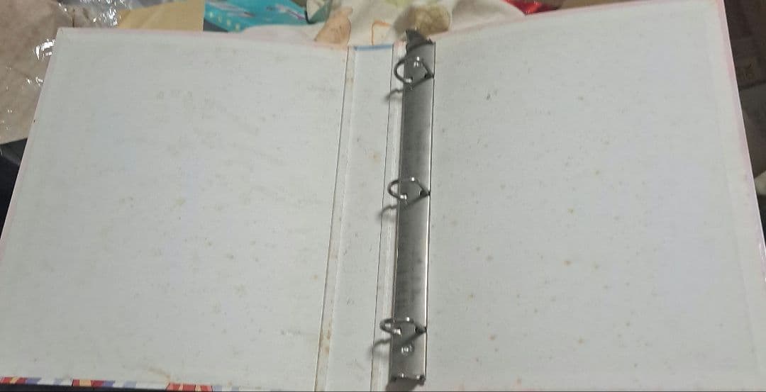 カードキャプターさくら カードバインダー 天田、カードマスターズ