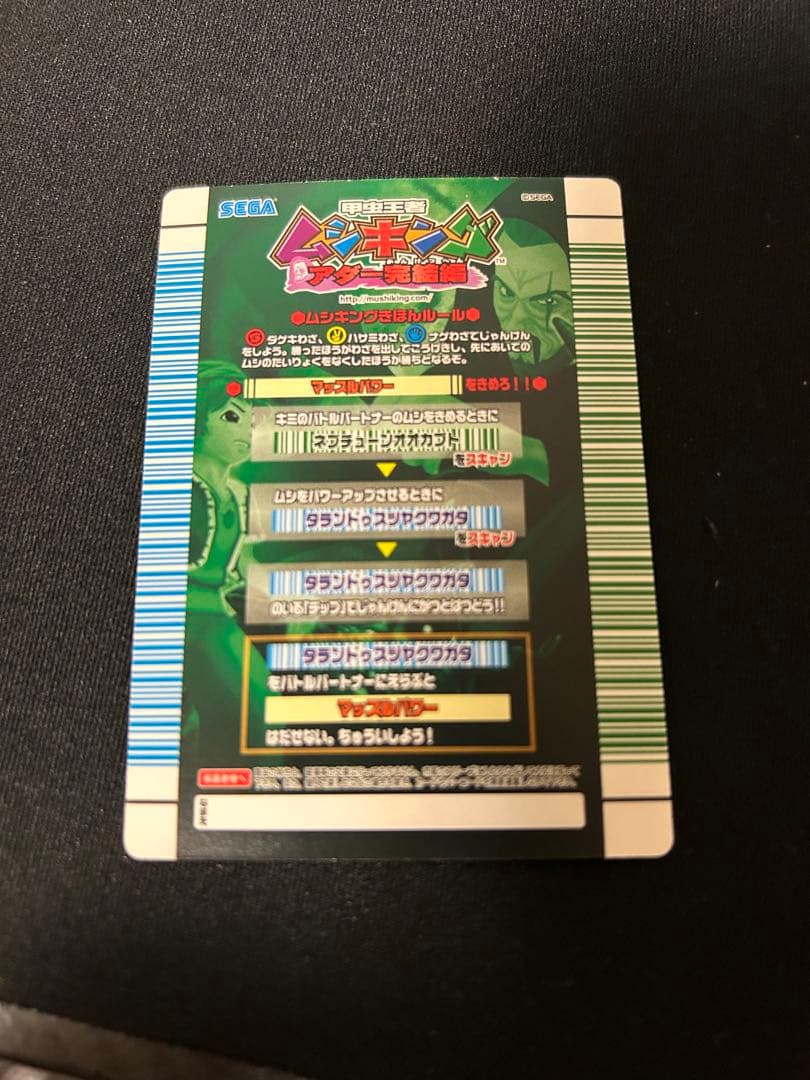 ネプチューンオオカブト タランドゥスツヤクワガタ アダー完結編