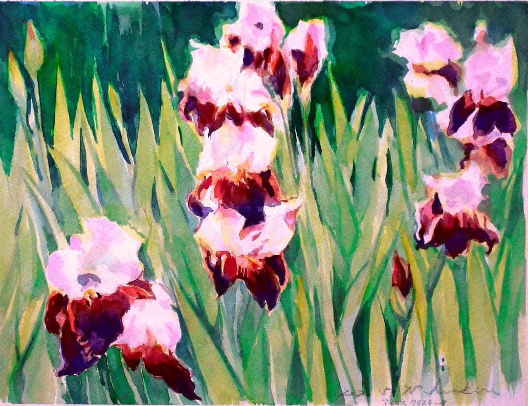 アイリスの水彩画額装済み