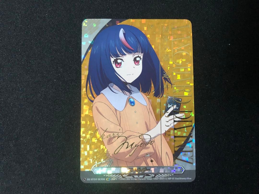 明導ヒカリ　エネルギー　SER ヴァンガード