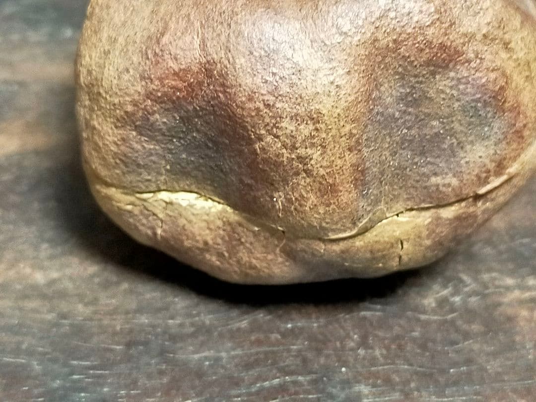 ♥荒川武夫　柘榴　香合　共箱付き　ザクロ　水月窯　荒川豊蔵　骨董　古玩