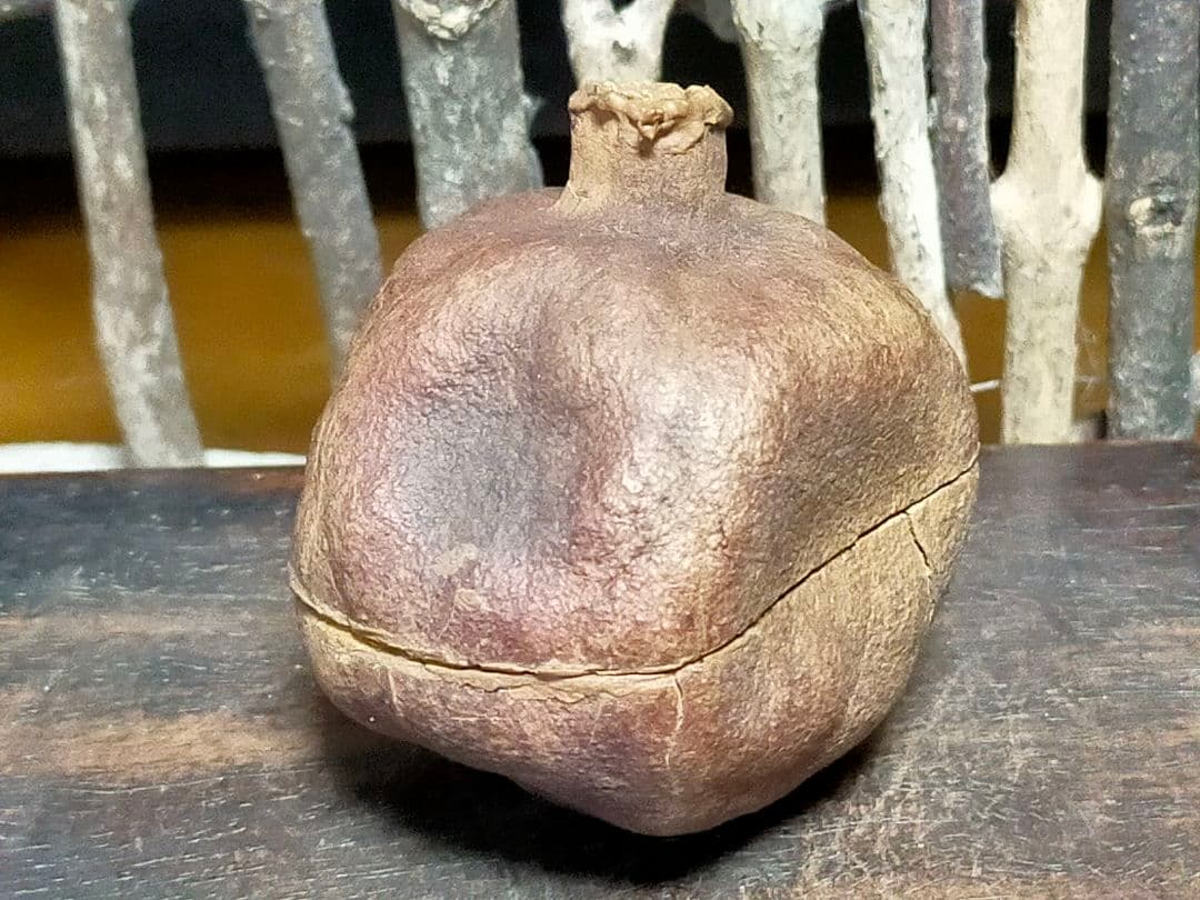 ♥荒川武夫　柘榴　香合　共箱付き　ザクロ　水月窯　荒川豊蔵　骨董　古玩