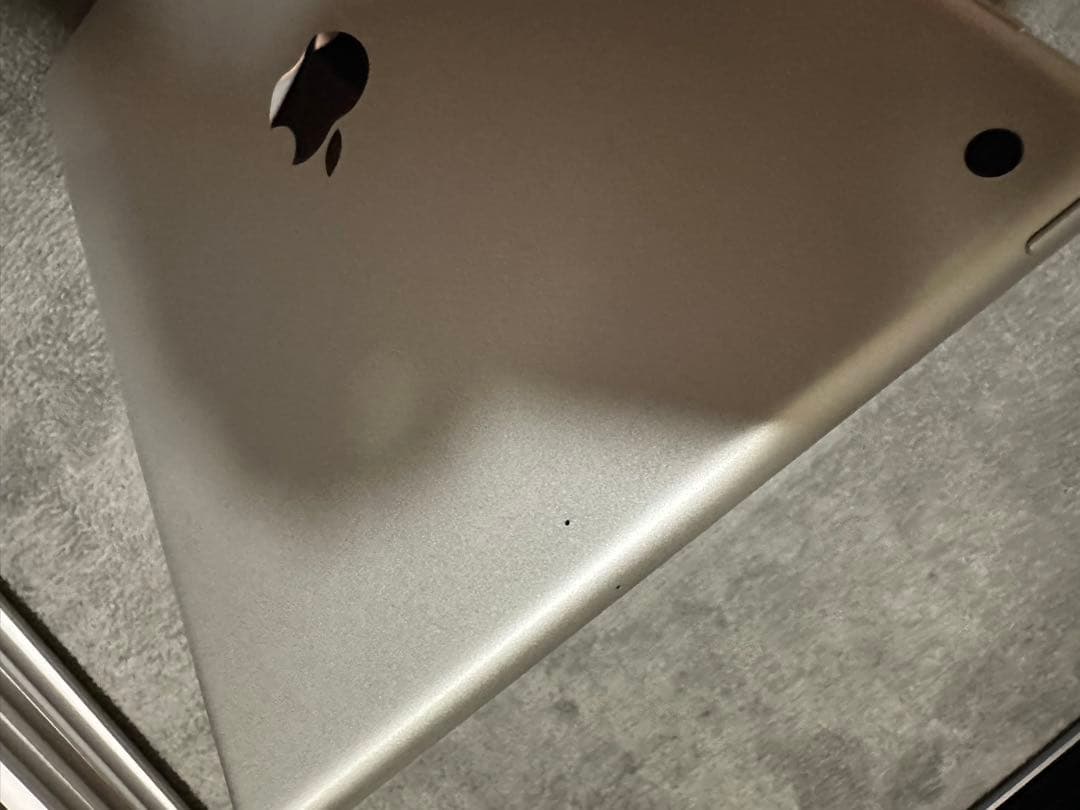 ぱる　Apple iPad 第6世代 32GBホワイト 本体