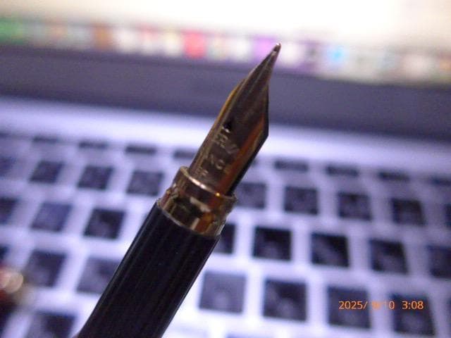 美品！貴重　ウォーターマン 万年筆 レディ シャーロット レッドラッカー EF