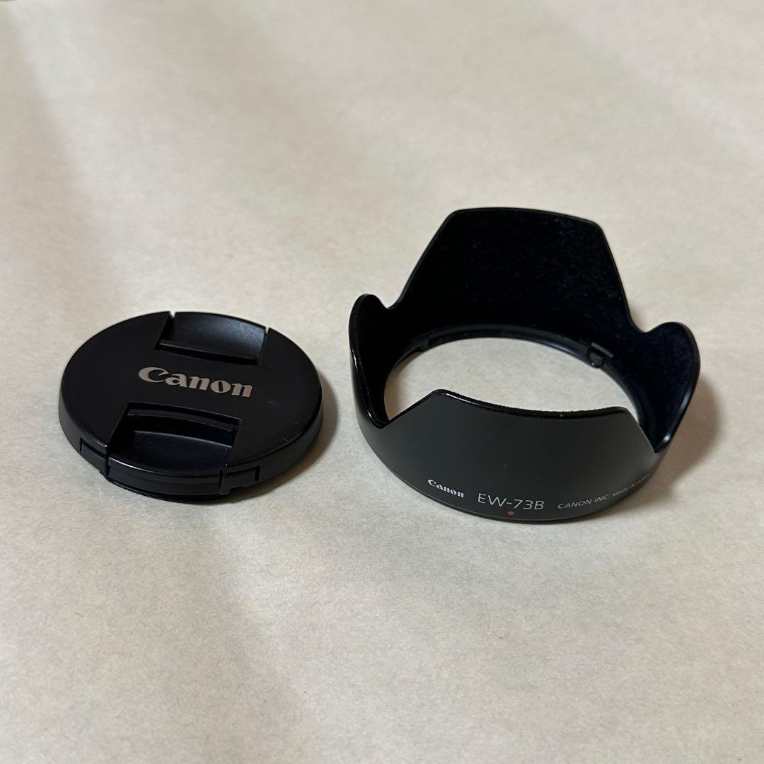 キャノン EOS8000D + 18-135 IS STM バッテリー4個付