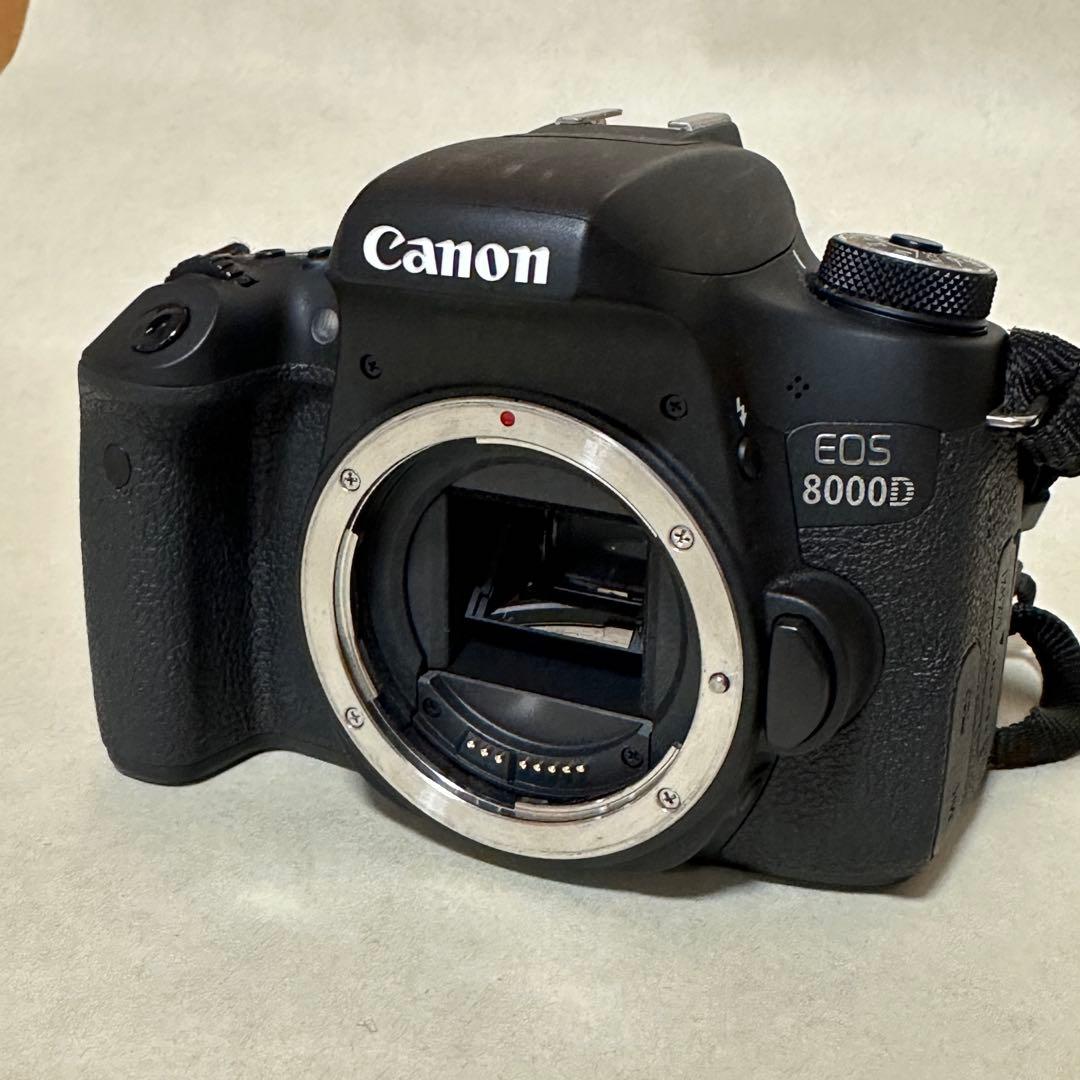 キャノン EOS8000D + 18-135 IS STM バッテリー4個付