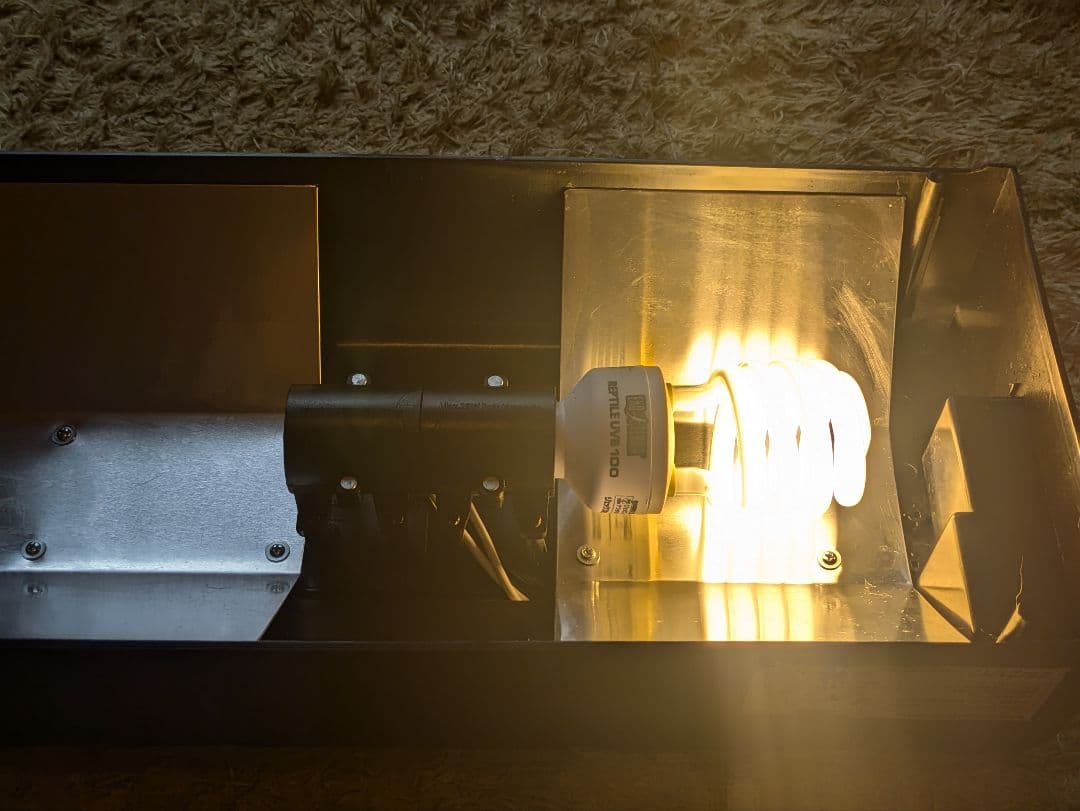 （引取限定）爬虫類ケージセット