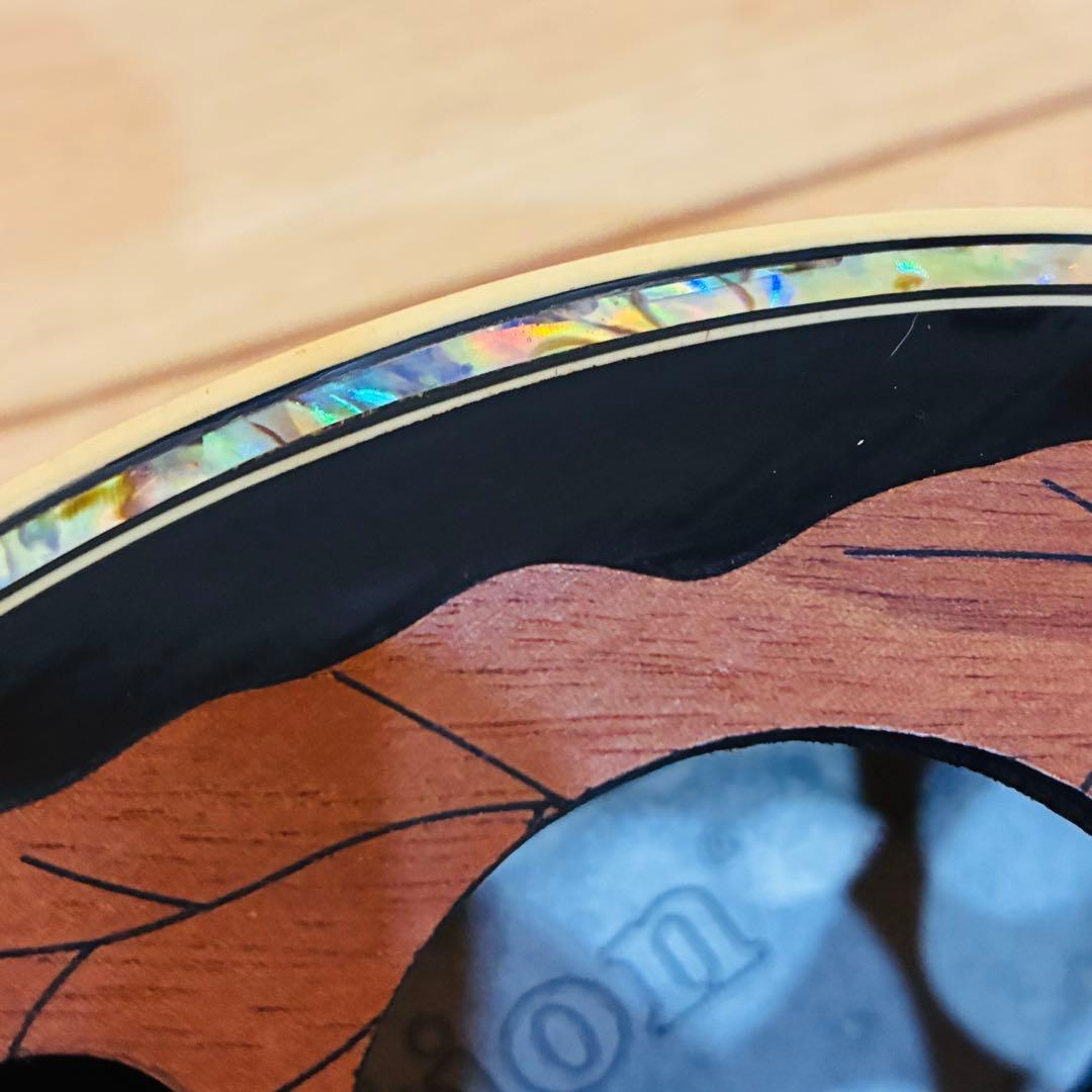 Ovation Pinnacle CU257上位モデル OP-30搭エレアコ