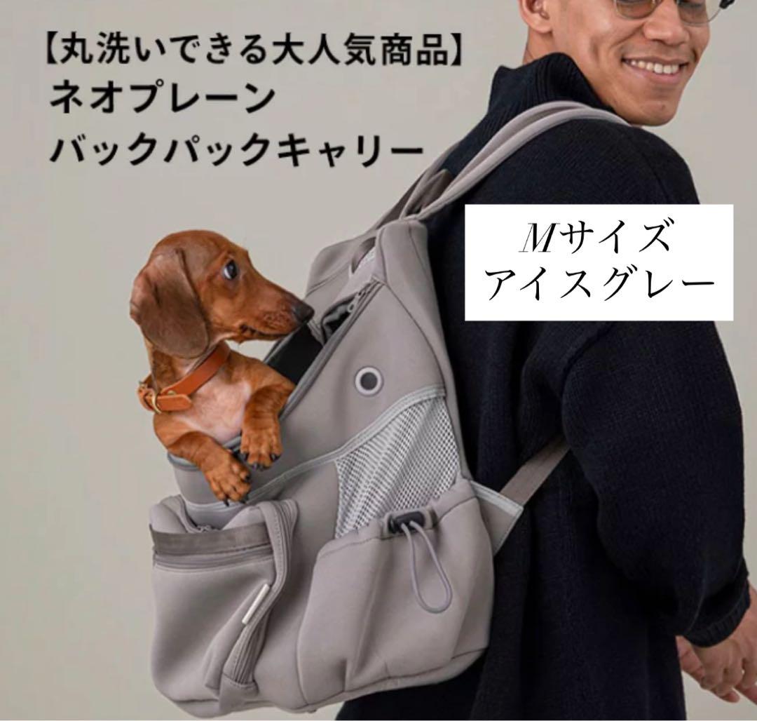 citydog / シティドッグネオプレーン　アイスグレー　リュック Mサイズ