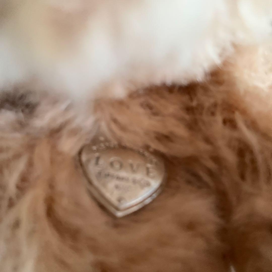 Tiffany & Co. Steiff Classic テディベア