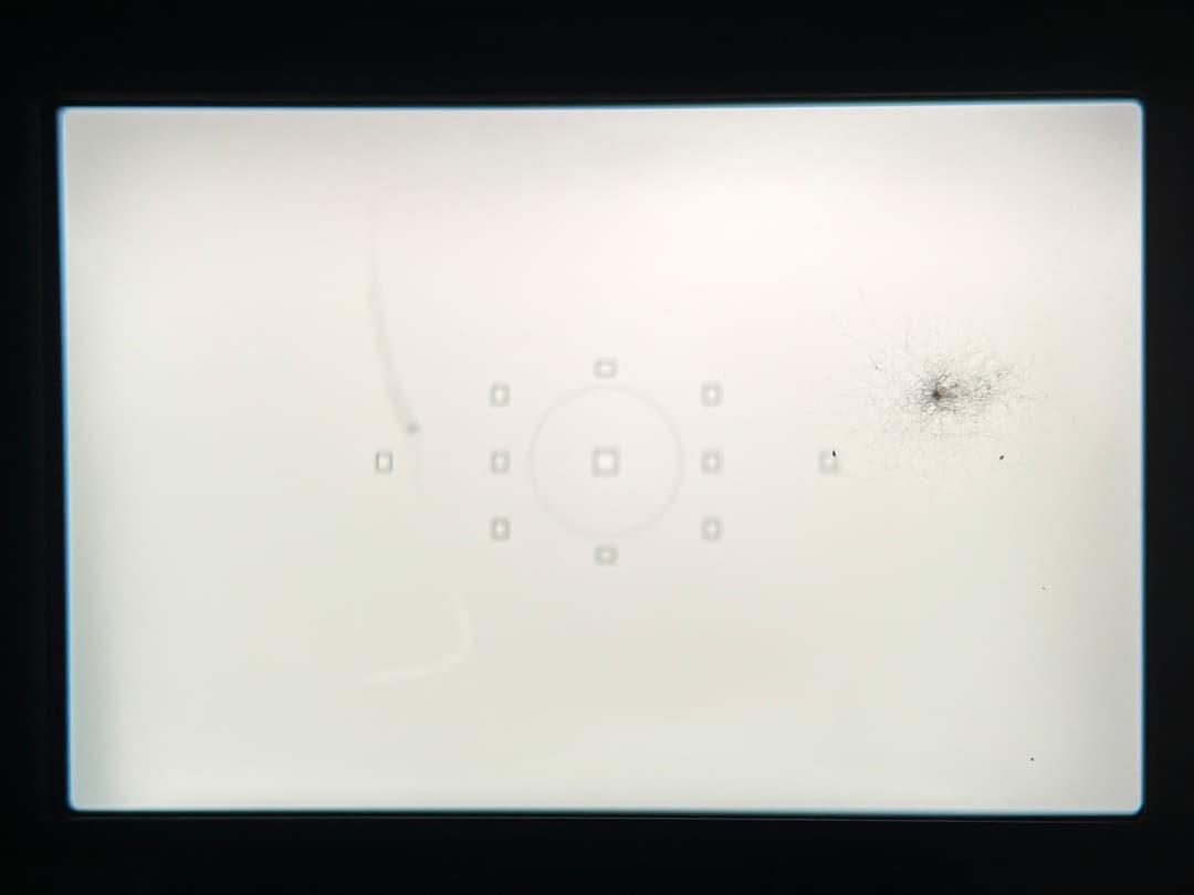 美品 Canon EOS 6D 標準～中望遠レンズ #9435