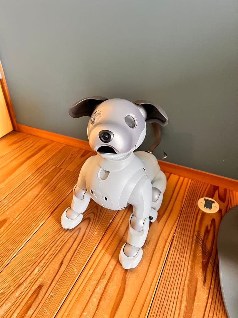 sony aibo アイボリーホワイト ERS-1000+おまけ