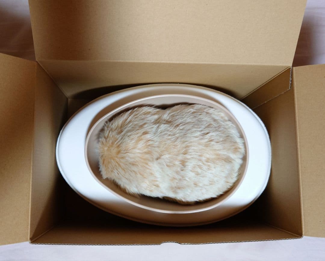 モフリン moflin AIペット クラウドファンディング版